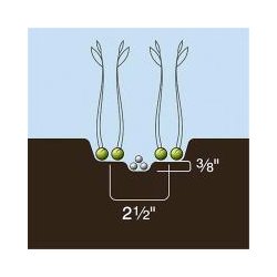 Dutch Opener 2" spids Universal paired