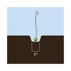 Dutch Opener 1" spids Universal single shoot