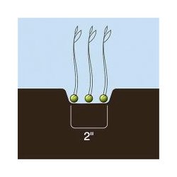 Dutch Opener 2" spids Universal single shoot