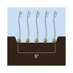 Dutch Opener 5" spids Universal single shoot