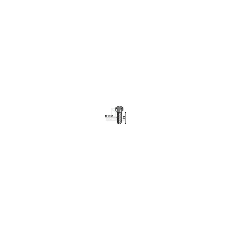 Sekskantbolt M10x1,0x30 mm  